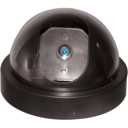 Fake Dome Camera